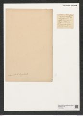 Triceratium alternans Bail. (de-Toni-Nr.: Genus 140, Species 3823) Zeichnungen Sammlung Grunow (NHMW-BOT-W0376362)